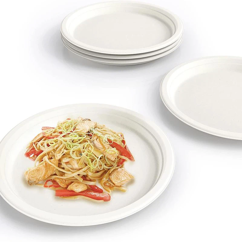 Biodegradable Sugarcane Bagasse Plates